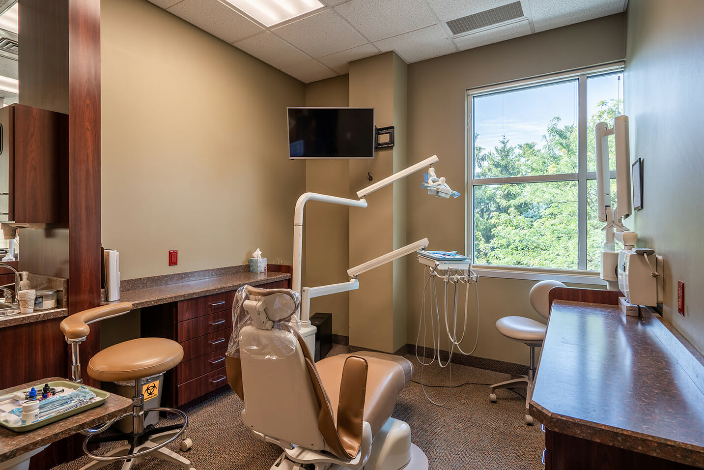 Stoneridge Dental Chair